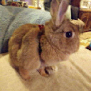 Meet your Posher, Lori